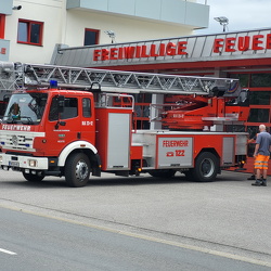 My Special Interests